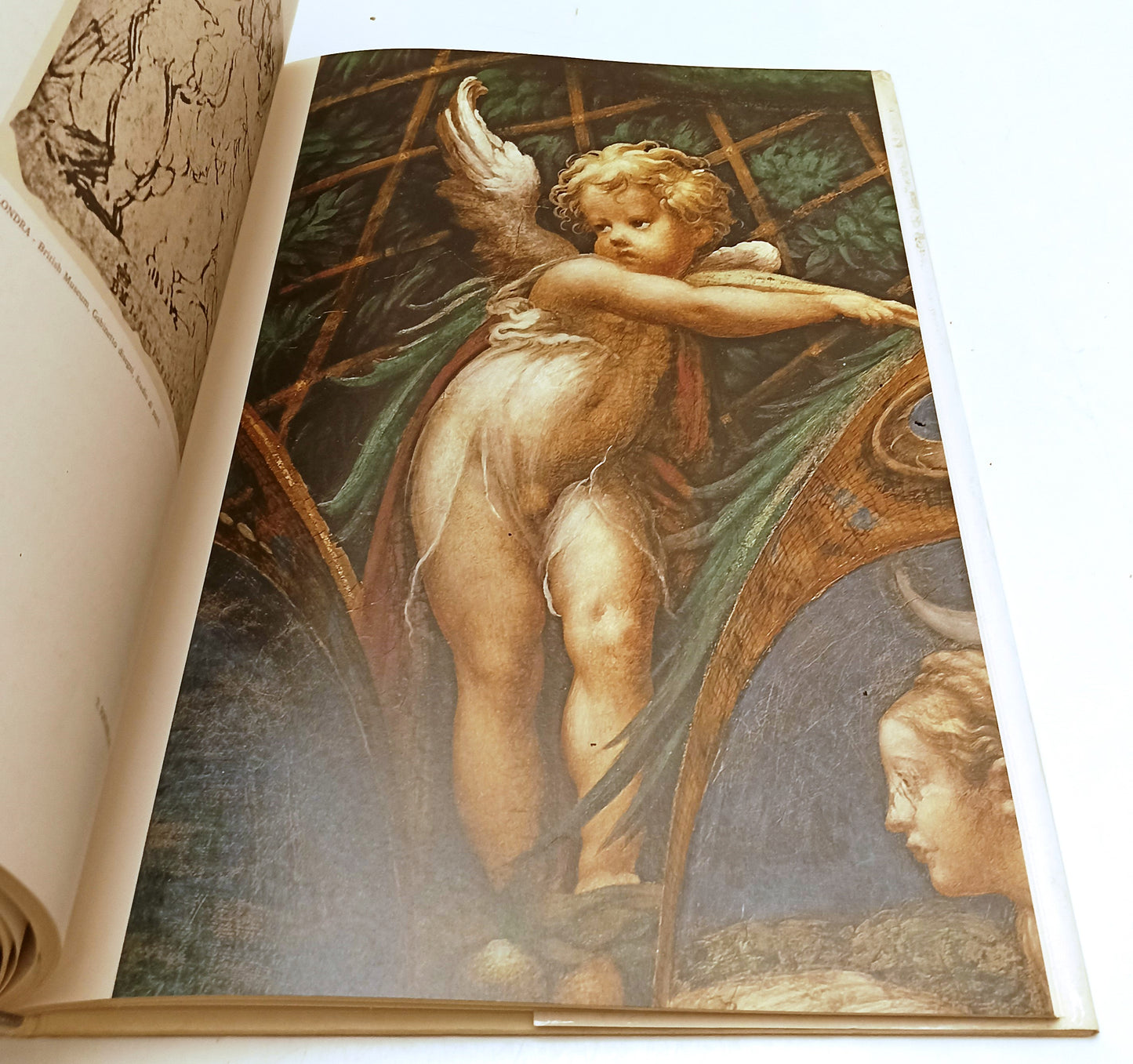 LT- GLI AFFRESCHI GIOVANILI DEL PARMIGIANINO -- CARI PARMA --- 1988 - CS- WPR319