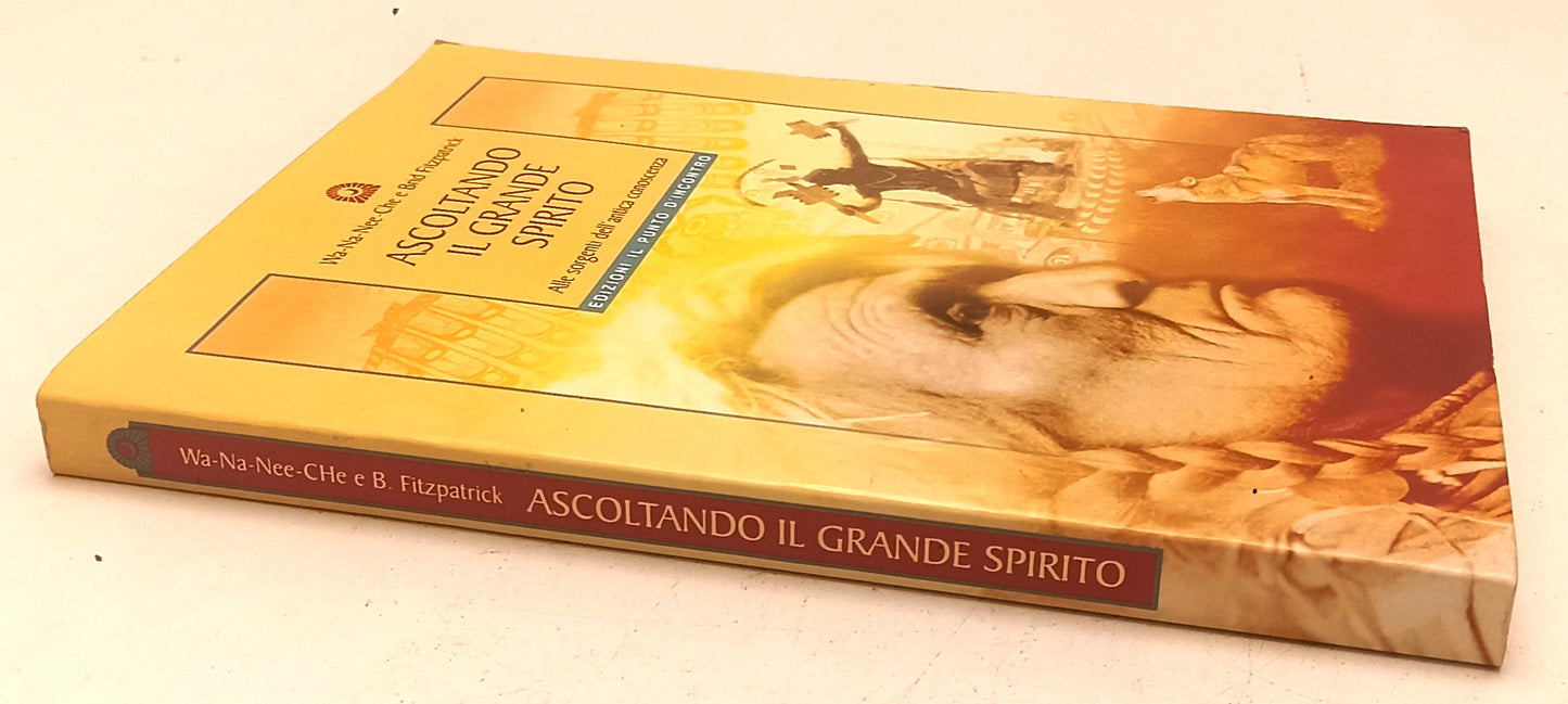 LZ- ASCOLTANDO IL GRANDE SPIRITO - WA-NA-NEE-CHE FITZPATRICK - 2002 - B - YFS561
