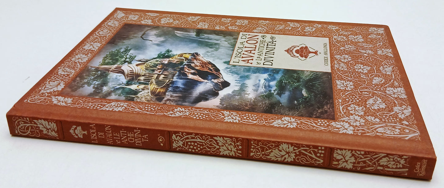 LF- LE CRONACHE DI EXCALIBUR 10 L'ISOLA DI AVALON E ANTICHE DIVINITA' - RBA- XFS