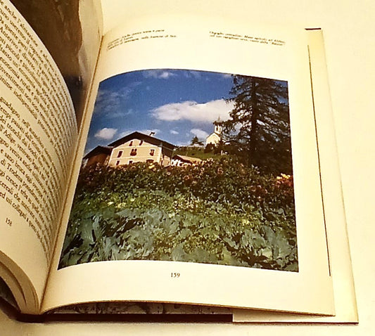 LT- BASSA ATESINA FOTOGRAFIE - SCHWEIGGL HAUSER - TAPPEINER --- 1988- CS- YFS929