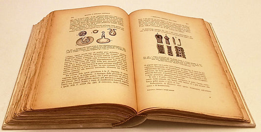 LZ- BIOLOGIA E ZOOLOGIA GENERALE - AUGUSTO STEFANELLI- MACRI'--- 1940- C- YFS299