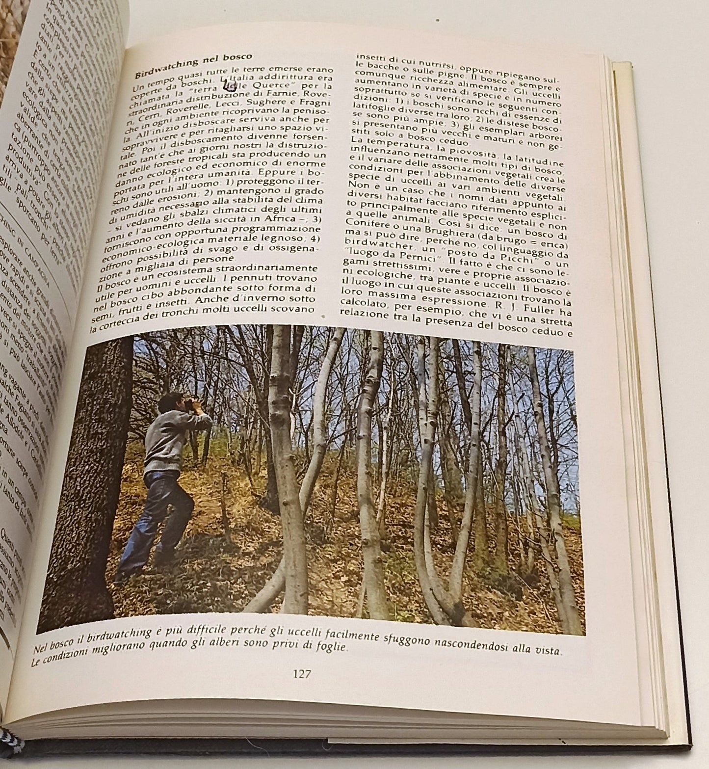 LZ- BIRDWATCHING- FRANCESCO MEZZATESTA- MONDADORI- GUIDE AIRONE- 1987- CS-YFS314