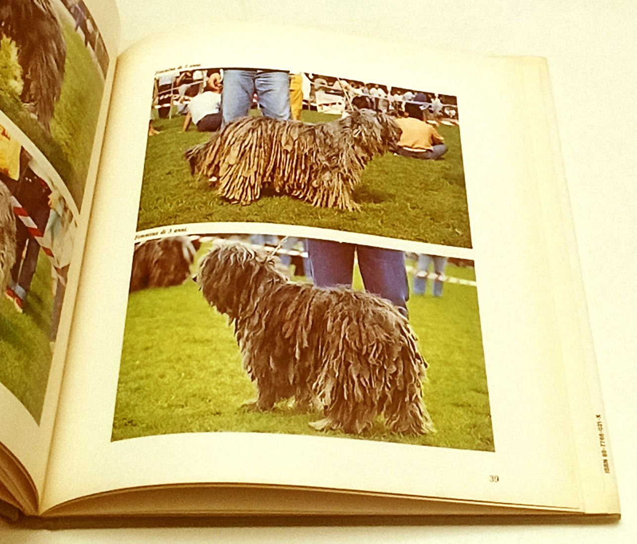 LZ- STORIA E LEGGENDA DEL CANE DA PASTORE BERGAMASCO - BIZA - 1987 - CS- YFS887