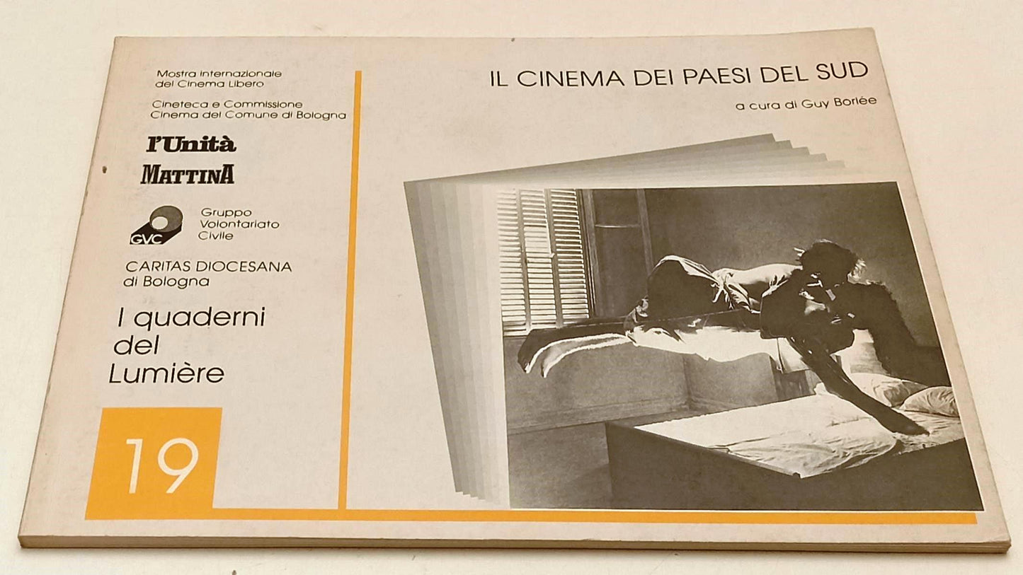LW- IL CINEMA DEI PAESI DEL SUD- GUY BORLEE- QUADERNI LUMIERE--- 1997- B- YFS945