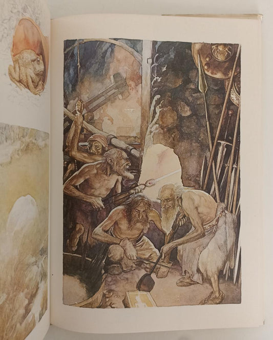 LB- FATE ILLUSTRATO - BRIAN FROUD ALAN LEE - RIZZOLI --- 1979- CS- YFS917