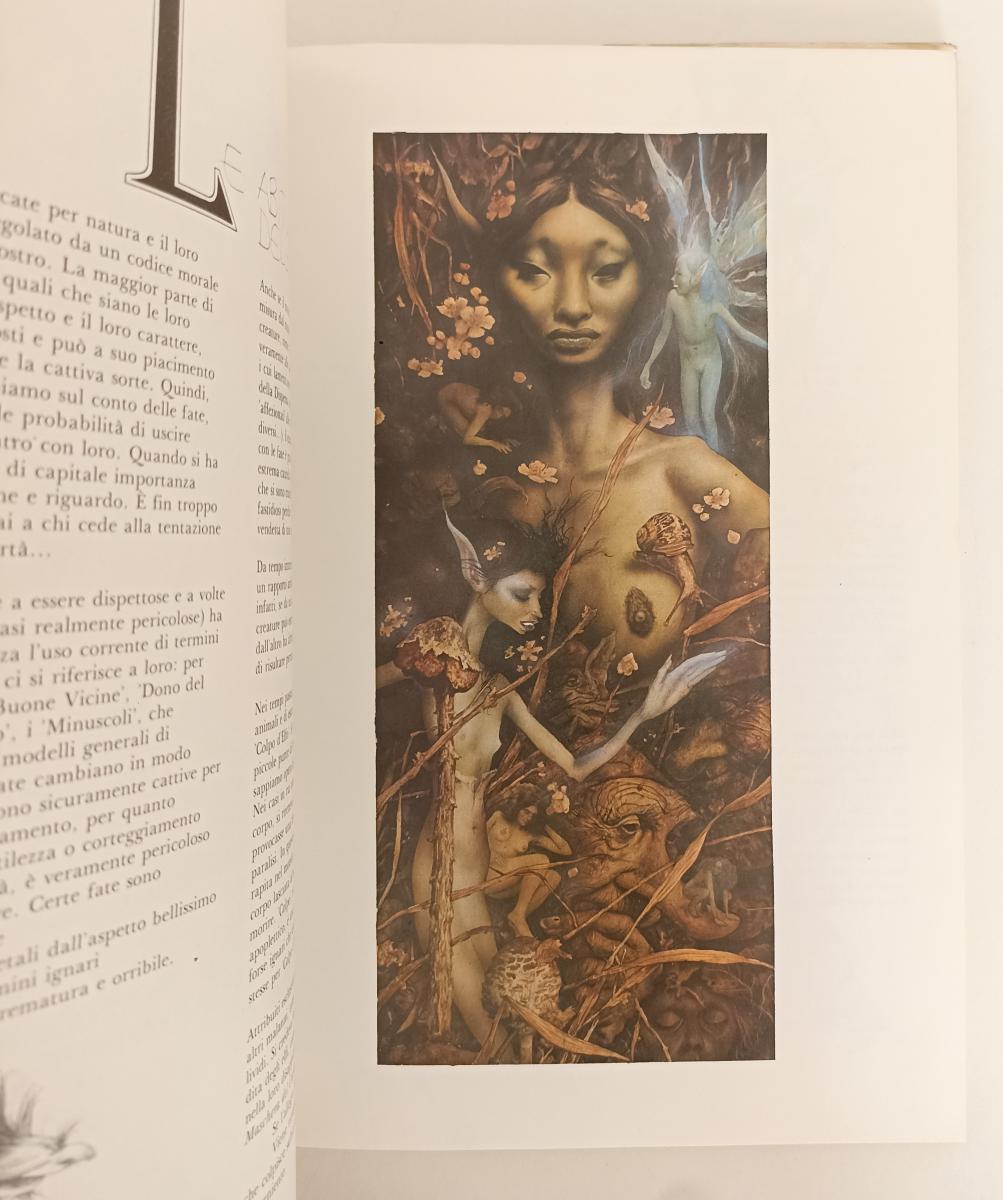 LB- FATE ILLUSTRATO - BRIAN FROUD ALAN LEE - RIZZOLI --- 1979- CS- YFS917