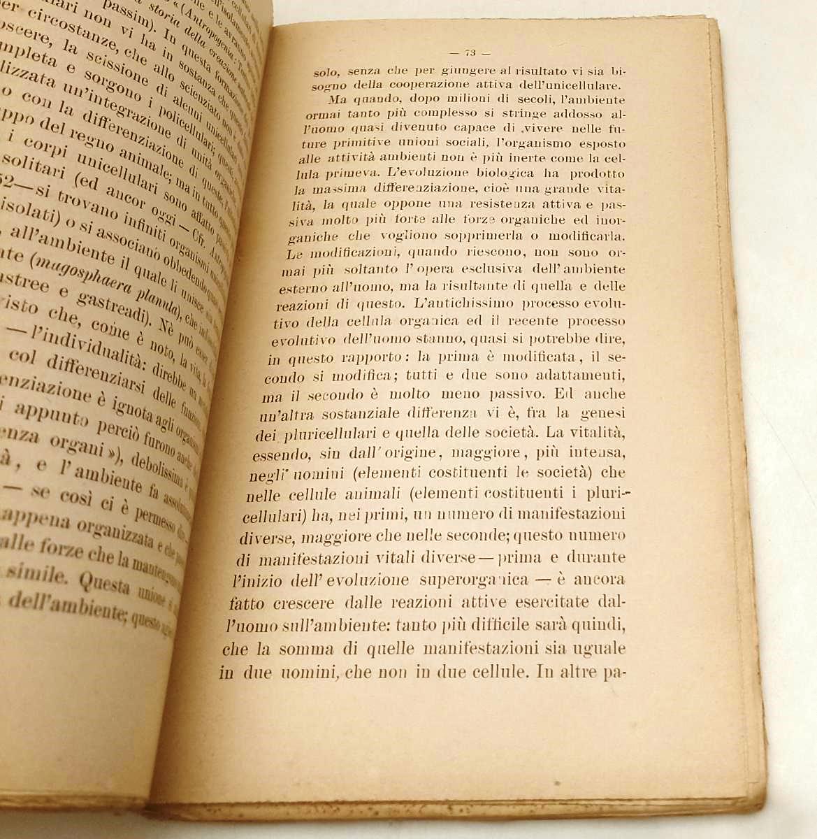 LS- LA FINE DELLA LOTTA PER LA VITA TRA GLI UOMINI - MODIGLIANI - 1900- B- XFS62