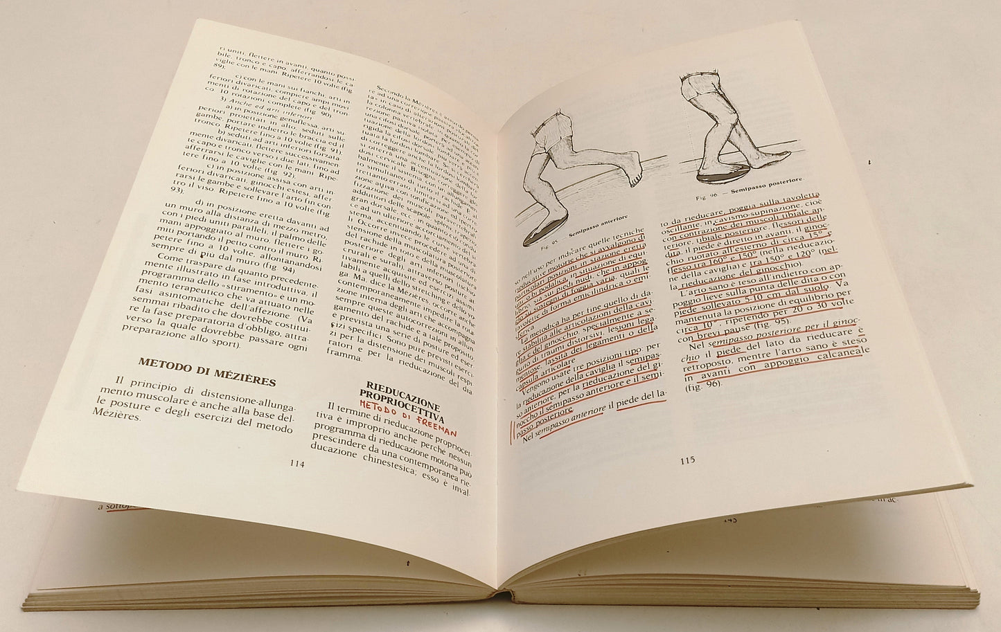 LQ- FISIOTERAPIA PRATICA - MOSELLI MANCA - MINERVA MEDICA --- 1985 - B - YFS857