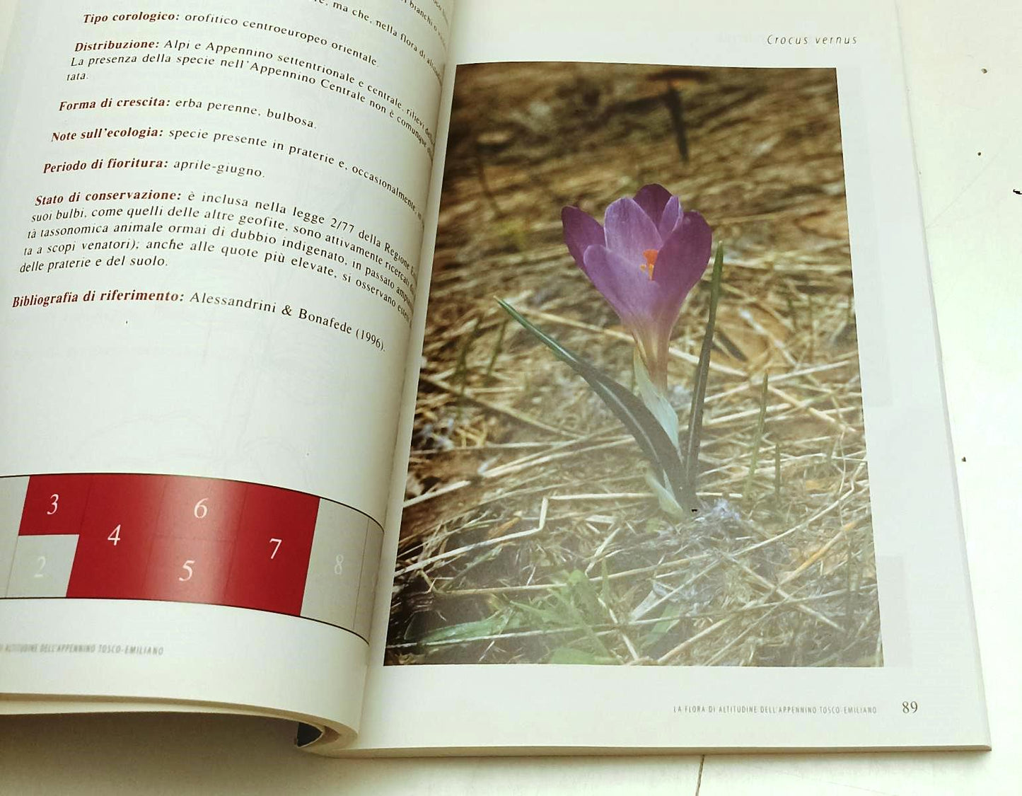 LV- LA FLORA DI ALTITUDINE DELL'APPENNINO TOSCO-EMILIANO - EMILIA ROMAGNA - WPR