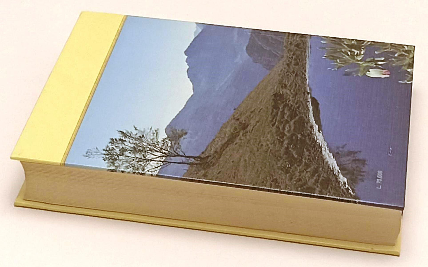 LZ- LA FLORA DEL BILDERFLORA DES MONTEBALDO- COSTANTINI DE KOCK- 1993- C-ZFS168