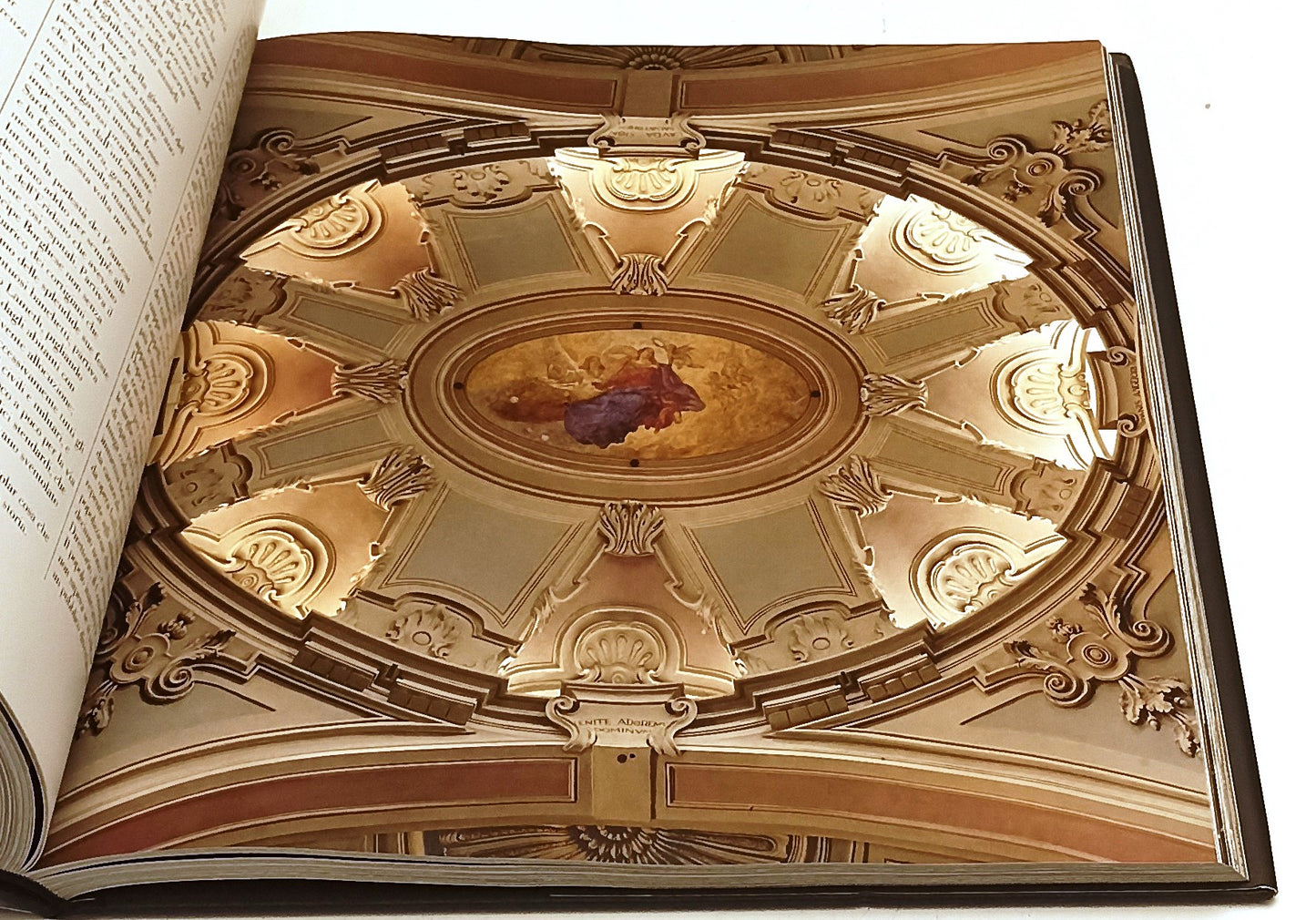 LT- TORINO - RICUPERATI CALDERA REINA - FRANCO MARIA RICCI --- 2012 - CS - XFS