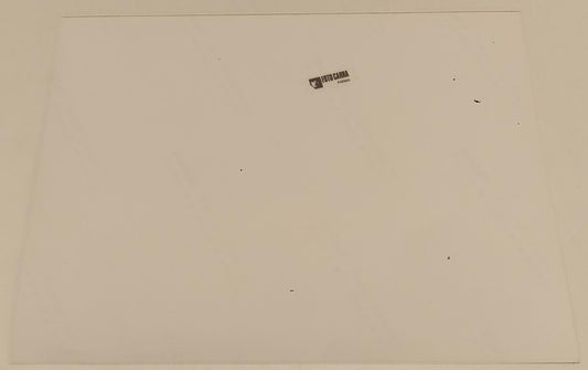 CV- FOTOGRAFIA FOTO PARMA - FIORENTINA - FILIPPO INZAGHI IN AZIONE - RVSa554