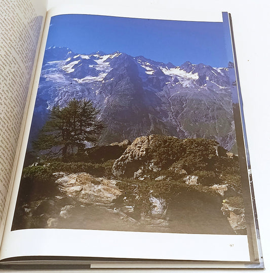 LV- I GRANDI SPAZI DELLE ALPI 2 MONTE BIANCO SAVOIA- PRIULI VERLUCCA- CS- YFS218