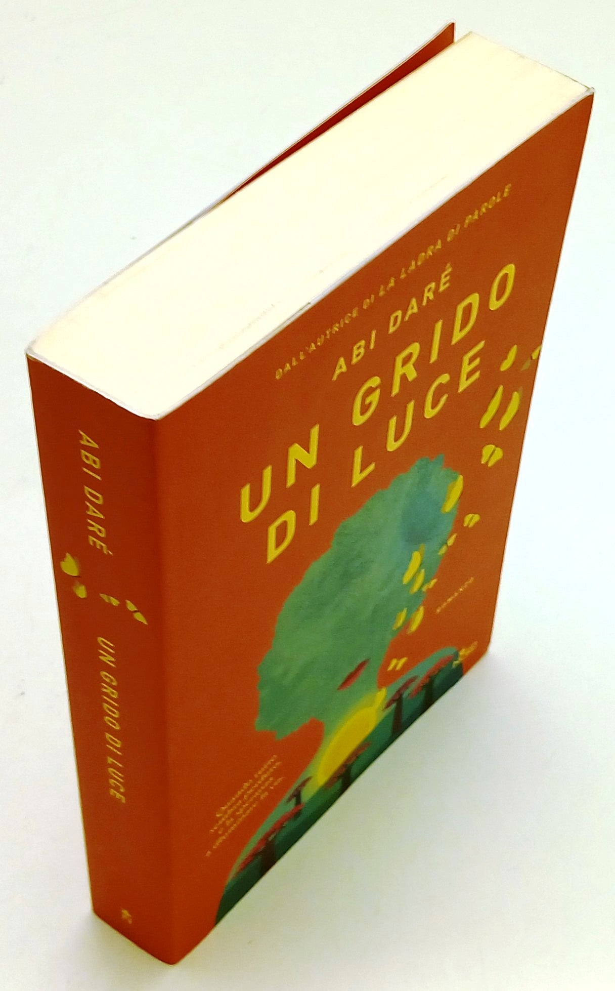 Un grido di luce - Abi Dare' - Nord Narrativa - 1a ed. - ZFS93