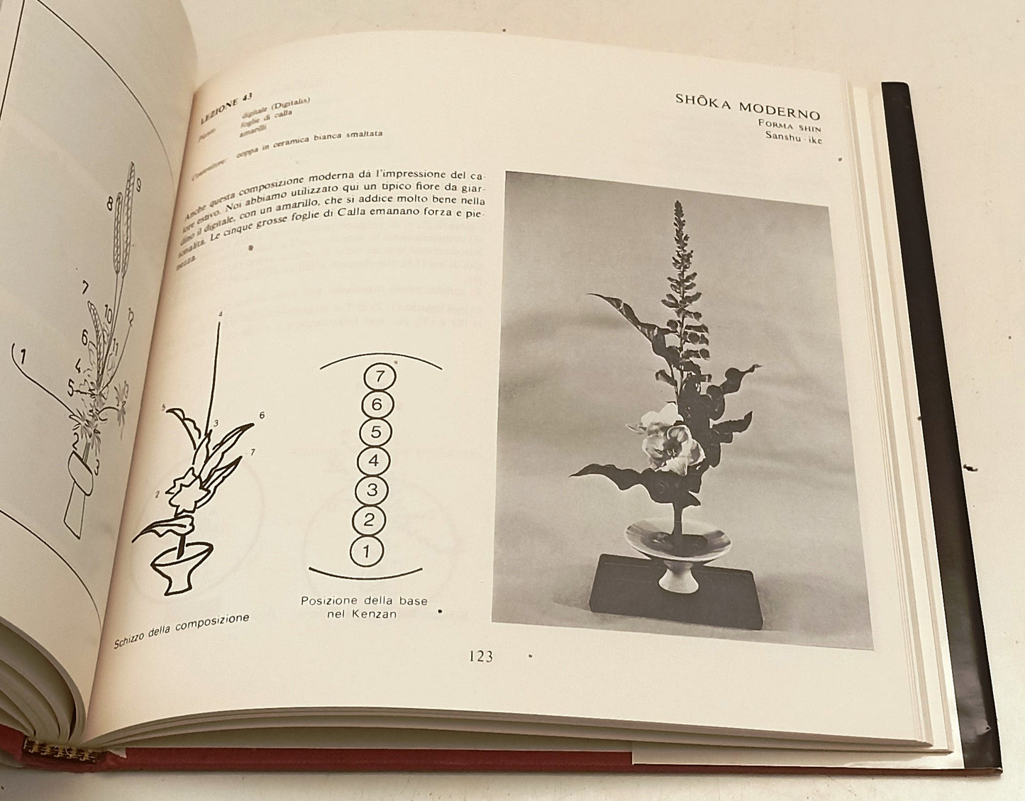 LZ- IKEBANA - SHUSUI KOMODA HORST POINTNER - CDE --- 1989- CS- YFS609