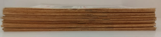 LR- RIVISTA IL CACCIATORE ITALIANO ANNATA 1927 QCOMPLETA ----- 1927 - S - XFS154
