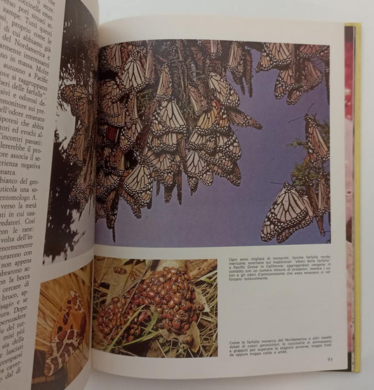 LZ- IL COLORE DEGLI ANIMALI MIMETISMO - FOGDEN - MONDADORI--- 1978 - C - ZFS581