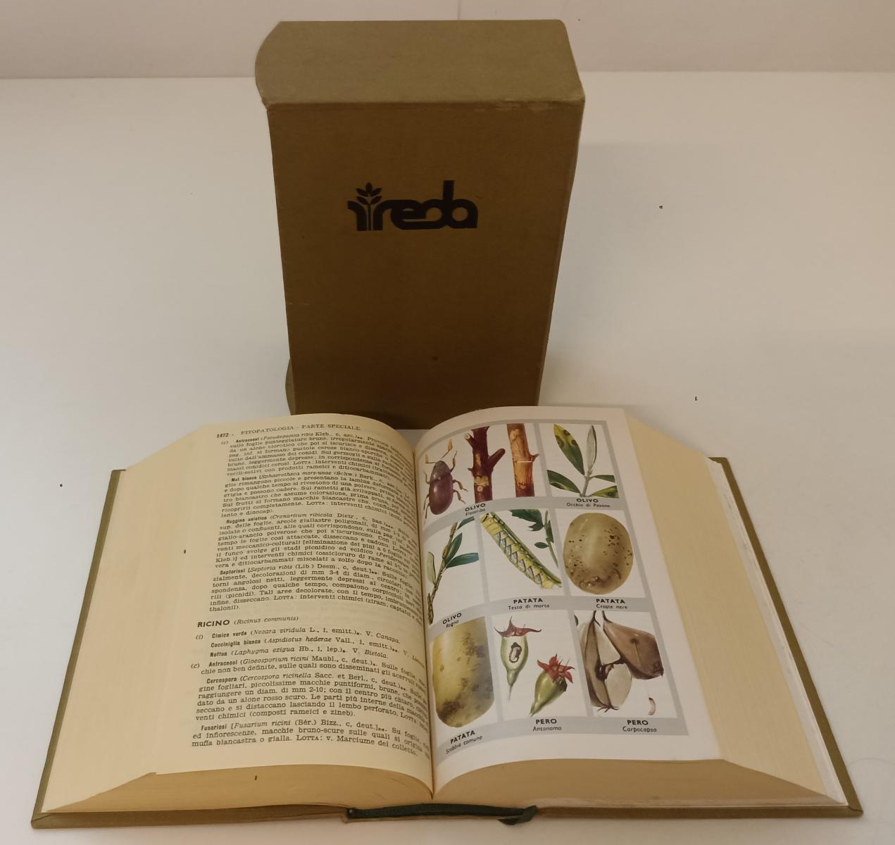 LZ- MANUALE DELL'AGRONOMO - GIUSEPPE TASSINARI - REDA --- 1979 - C - XFS44