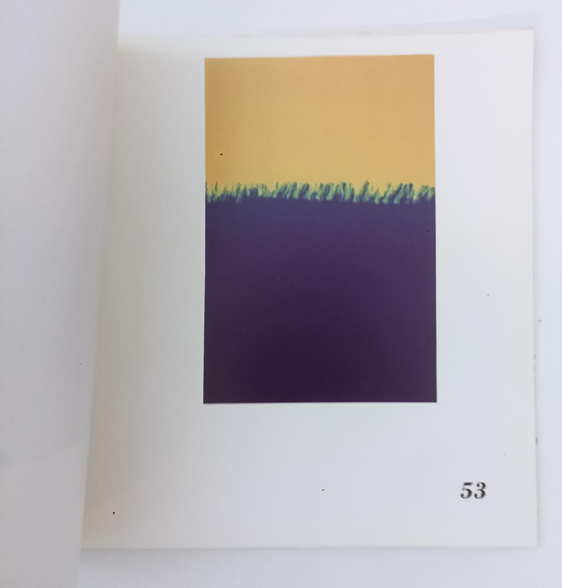 LT- MAURO BUZZI FOTOGRAFIE 1977/1988 CATALOGO-- COLORNO PARMA--- 1988- BS-ZFS488