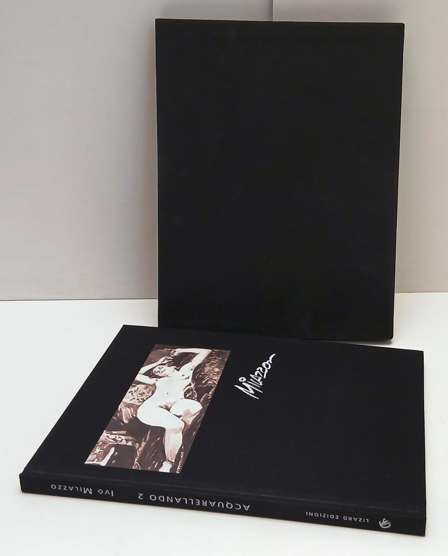 FV- SPAZIO D'AUTORE ACQUARELLANDO 2 - IVO MILAZZO - LIZARD - 2006 - C- Z25