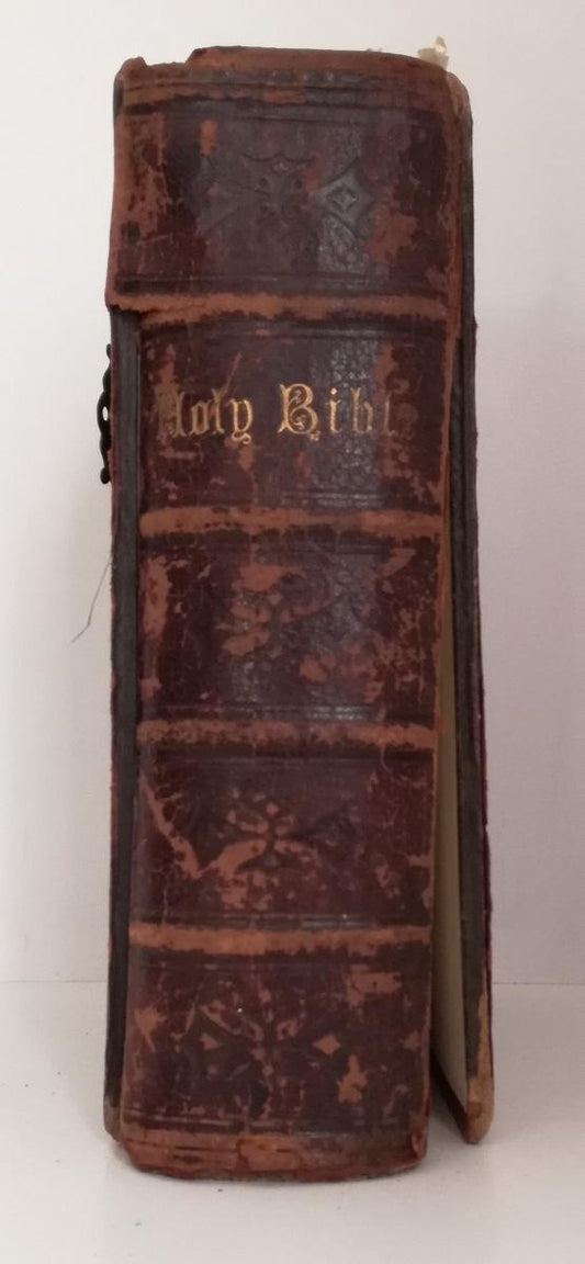 LD- THE HOLY BIBLE ILLUSTRATED - EADIE SCOTT HENRY - DODD --- 1873 - C - XFS100