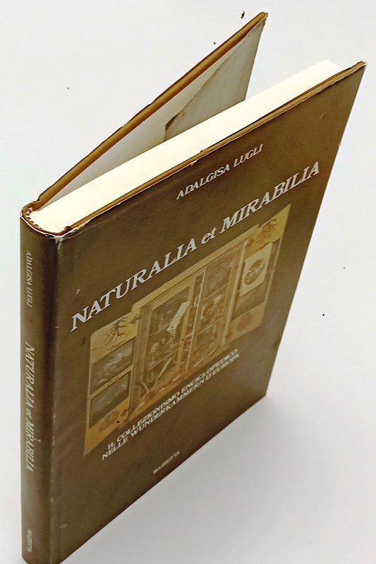 LZ- NATURALIA ET MIRABILIA COLLEZIONISMO- LUGLI - MAZZOTTA --- 1990 - B - YFS701