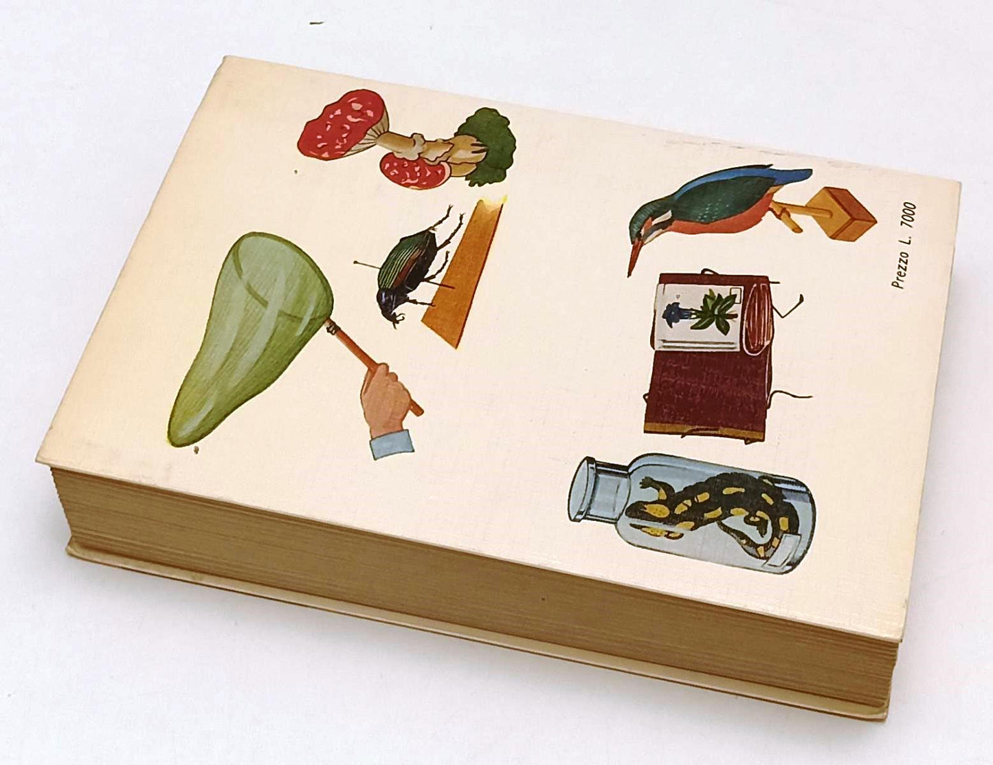 LZ- IL NATURALISTA - PIETRO ZANGHERI - HOEPLI - MANUALE - 5a ED. - 1976 - B- XFS