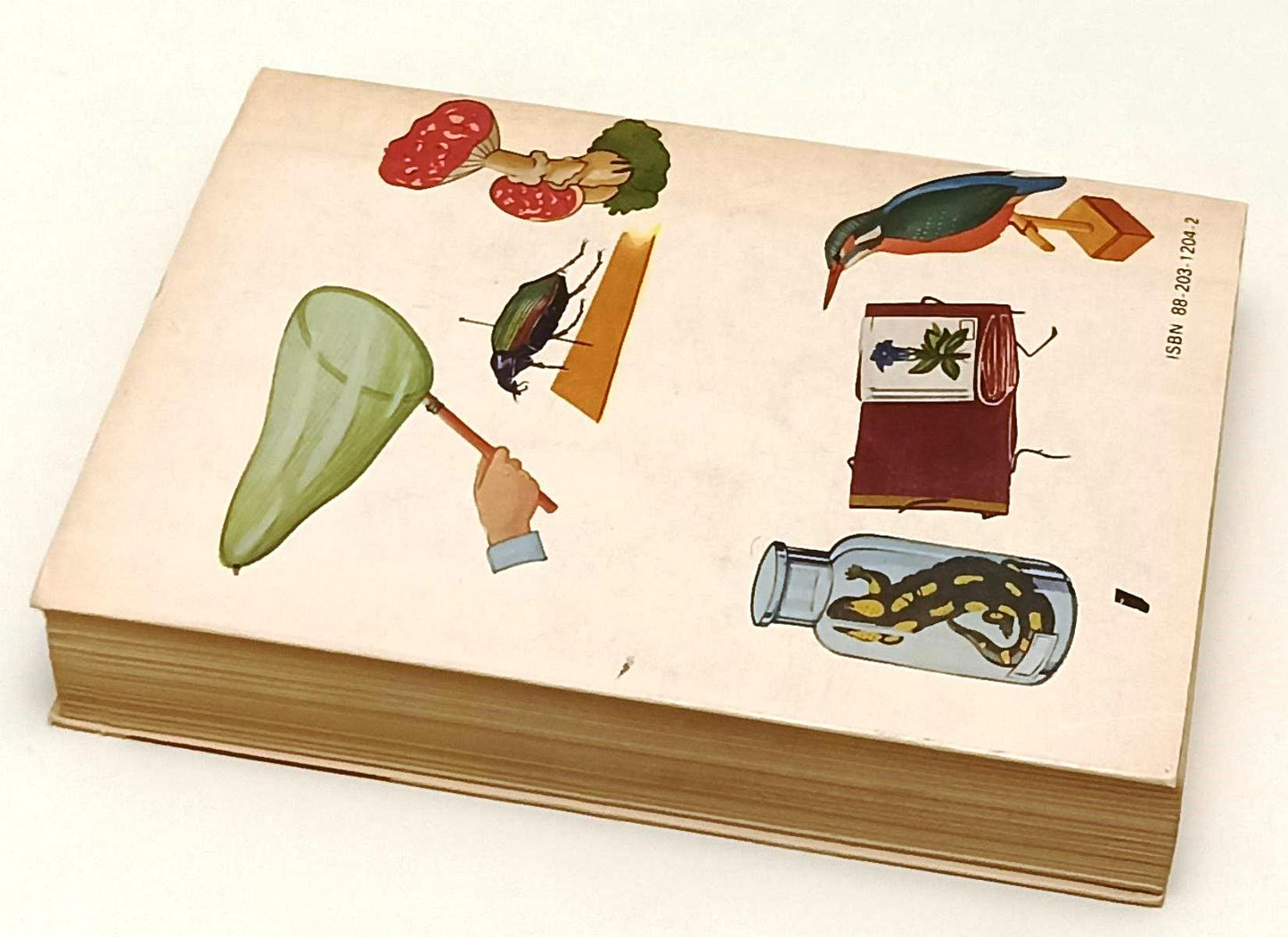 LZ- IL NATURALISTA - PIETRO ZANGHERI - HOEPLI - MANUALE - 6a ED. - 1976 - B- XFS