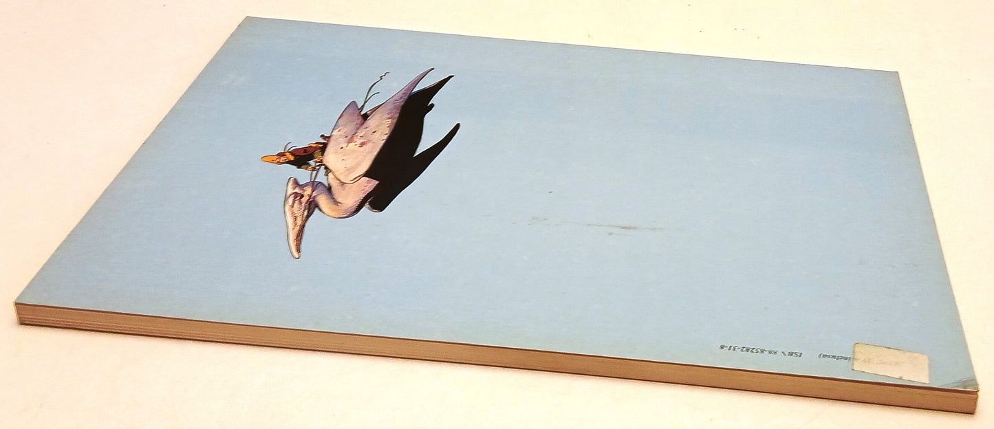 FV- IL NUOVO MOEBIUS - JEAN GIR GIRAUD - EDITORI DEL GRIFO - 1984 - B - YFS730