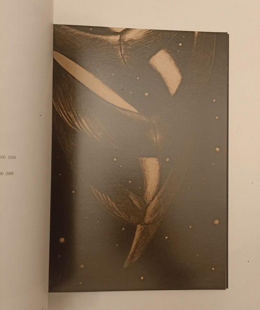 LT- OMAR GALLIANI SEOUL'S SOUL CATALOGO MOSTRA MUSEUM OF 2011 - XFS175