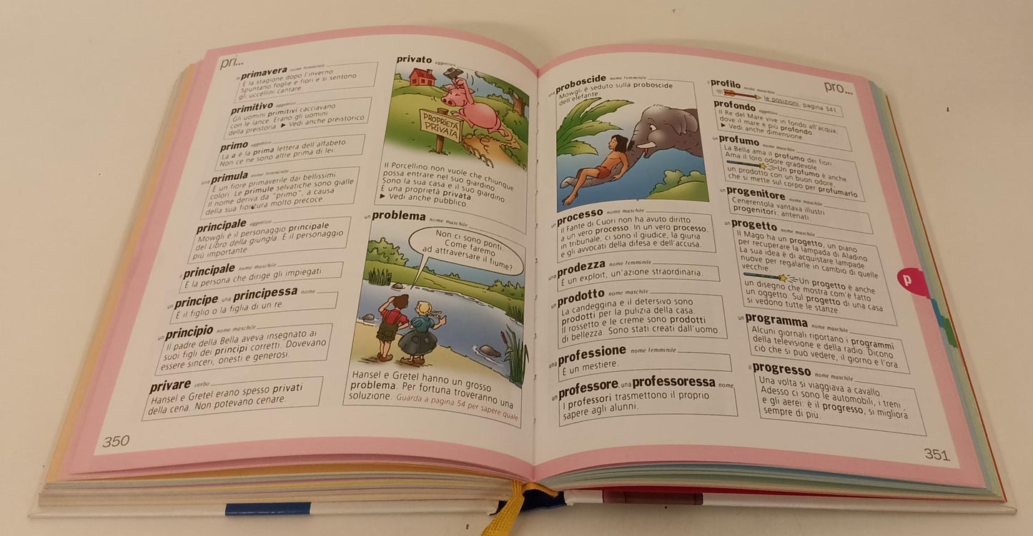 LB- PRIMO DIZIONARIO da 5 a 8 anni IL PICCOLO LARUS 5000 PAROLE - 2005 - C - RGZ