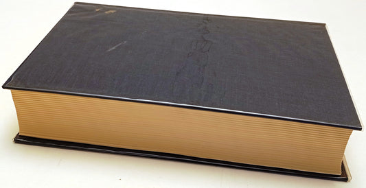Romanzi cavallereschi bizantini - UTET Classici Greci - 1a ed. 1995 - XFS