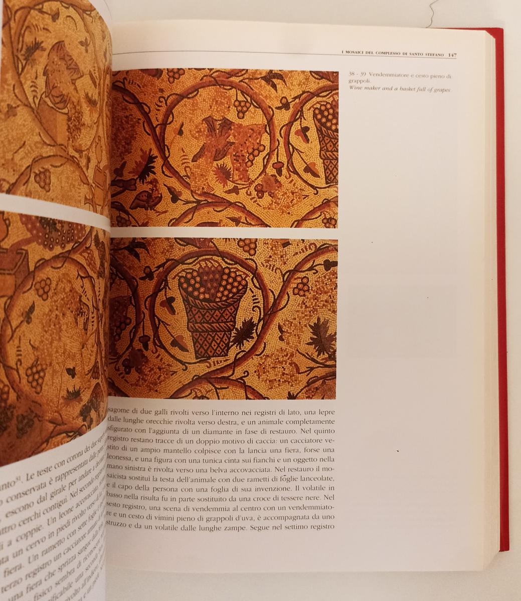 LT- UMM AL RASAS MAYFA'AH I GLI SCAVI DEL COMPLESSO DI SANTO STEFANO- CS- YFS281
