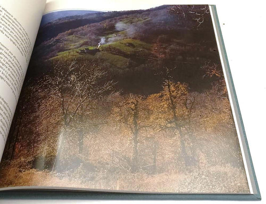 LV- SOTTO UN TETTO DI LOSE- SIMONETTI BINI- LASSU' GLI ULTIMI--- 1994- C- YFS847