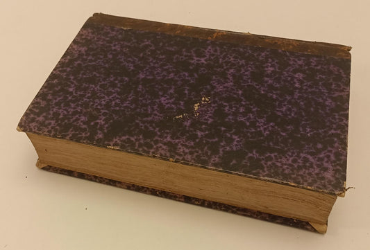 LH- SPIEGAZIONI DEL VANGELO- GIUSEPPE BRANCA- BORRONI E SCOTTI--- 1837- C-XFS134