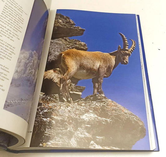 LV- SENSAZIONI CENTRO DELLE ALPI STELVIO NATURA CULTURA SENZA FRONTIERE - YFS915