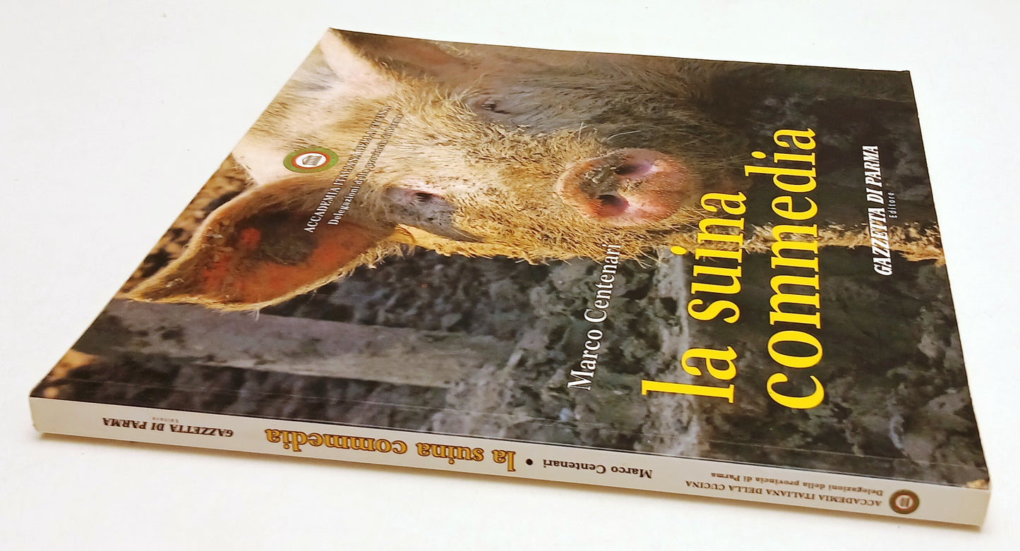 LK- LA SUINA COMMEDIA - MARCO CENTENARI - GAZZETTA DI PARMA --- 2008 - B - WPR