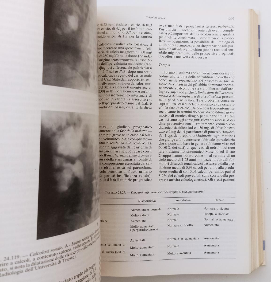 LQ- TRATTATO DI MEDICINA INTERNA 2 VOLUMI- UGO TEODORI- UNIVERSO- 1988- C- YFS80