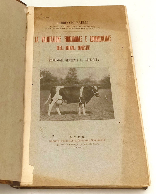 LH- VALUTAZIONE FUNZIONALE E COMMERCIALE ANIMALI DOMESTICI- FAELLI- 1914- YFS204