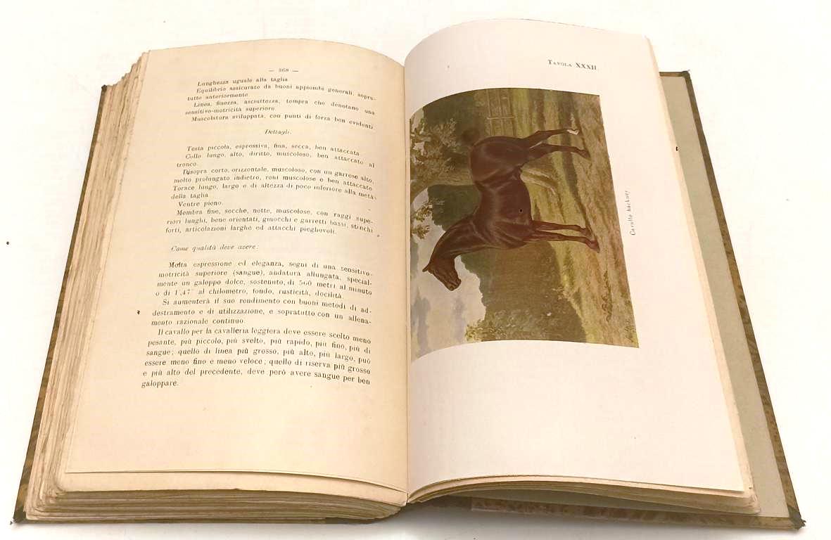 LH- VALUTAZIONE FUNZIONALE E COMMERCIALE ANIMALI DOMESTICI- FAELLI- 1914- YFS204