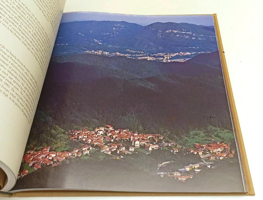 LV- VERDE ASPRA VALSESSERA - CARLO CASELLI - BIVERBANCA --- 1995- C- YFS446