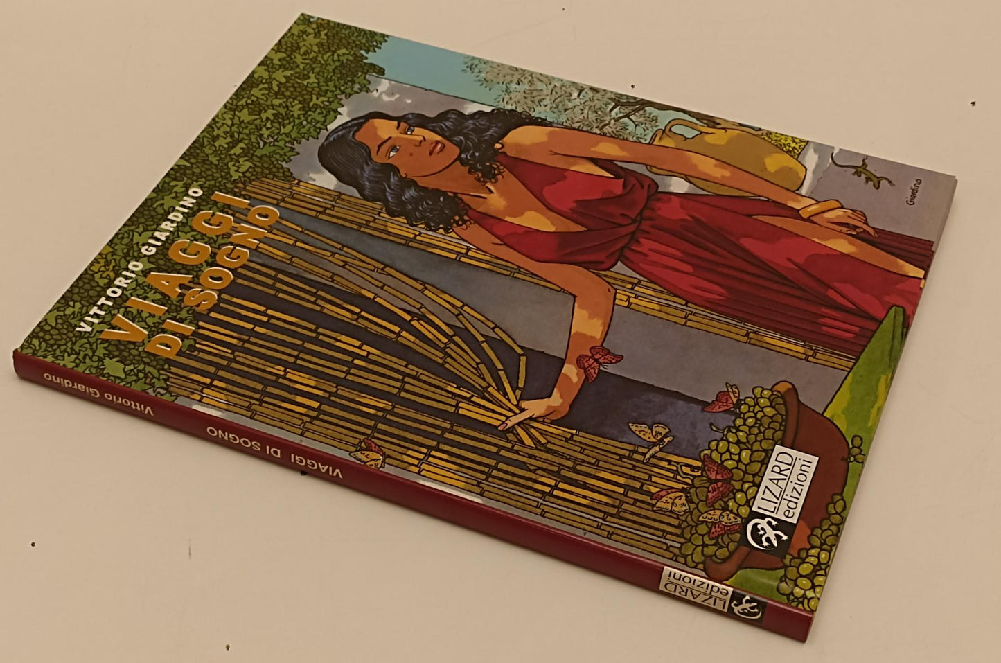 FV- VIAGGI DI SOGNO - VITTORIO GIARDINO - LIZARD EDIZIONI - 2003 - CS - B24