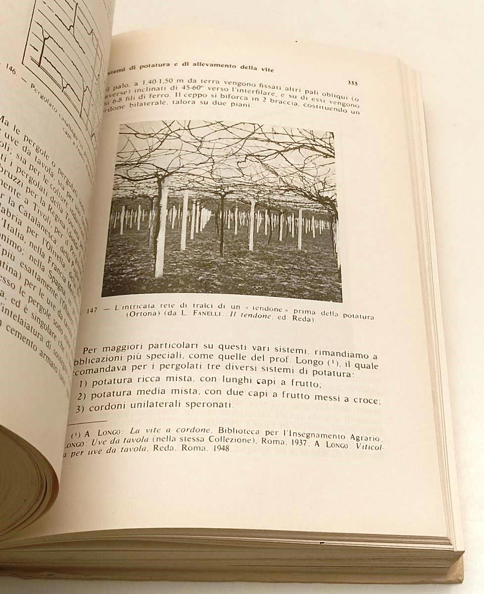 LZ- VITICOLTURA MODERNA MANUALE PRATICO- DALMASSO EYNARD- HOEPLI- 1979- B-ZFS154
