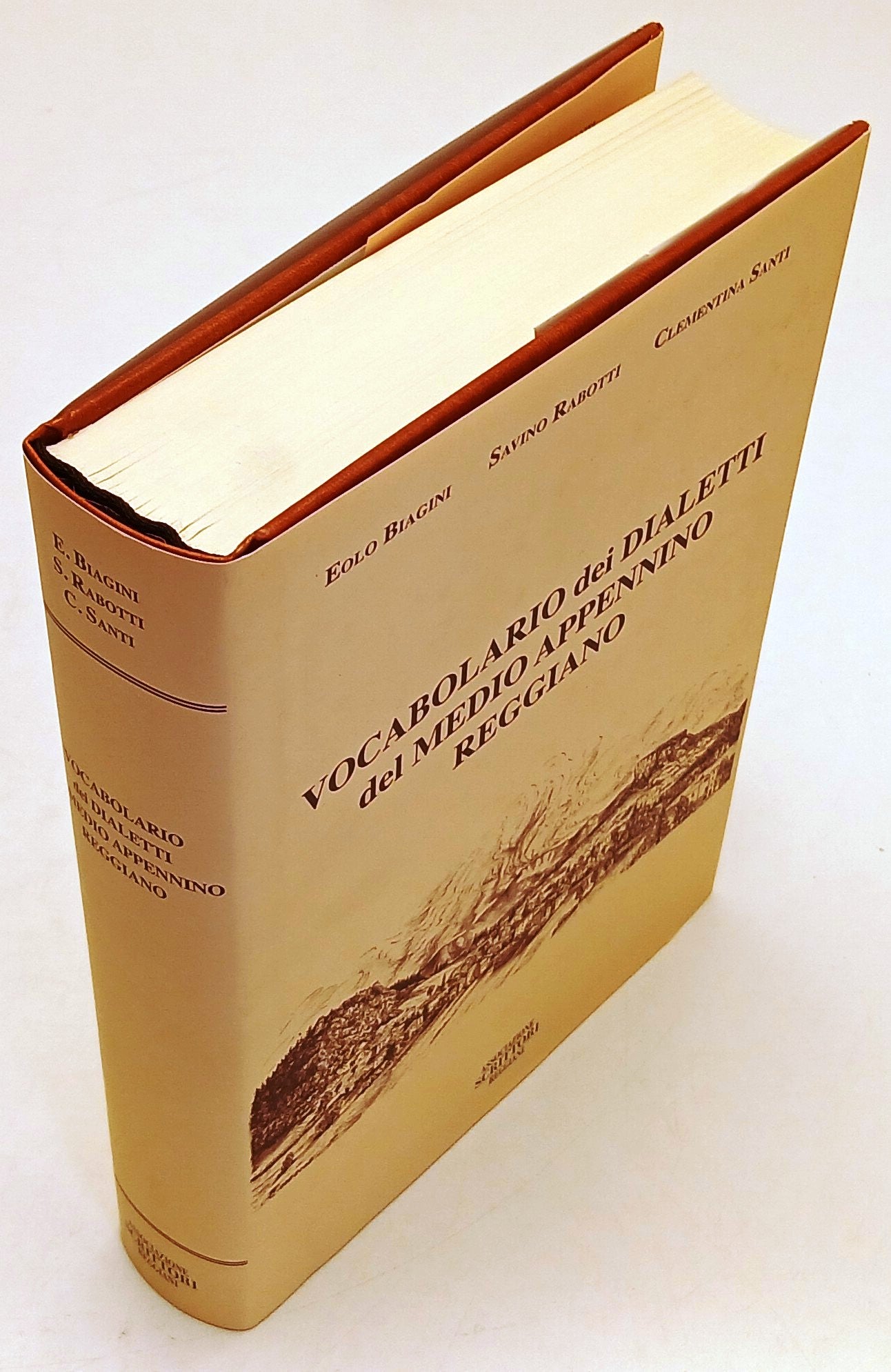 LZ- VOCABOLARIO DIALETTI MEDIO APPENNINO REGGIANO- BIAGINI RABOTTI SANTI- YFS985