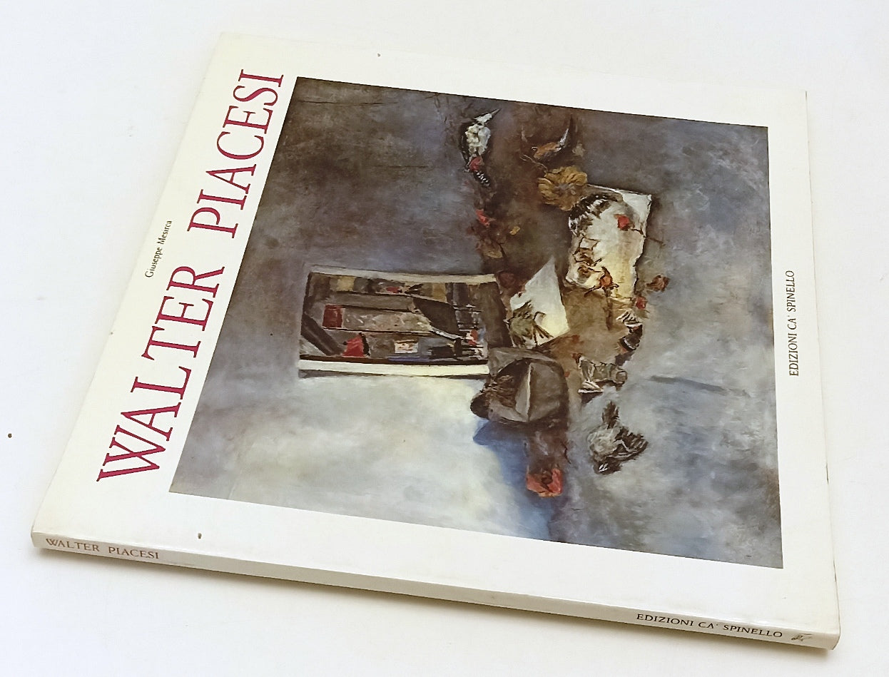 LT- PITTURA DI WALTER PIACESI- GIUSEPPE MESIRCA- CA' SPINELLO--- 1991- B- XFS188