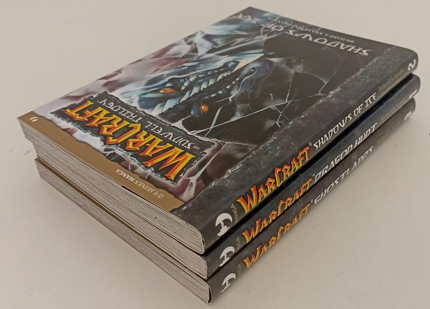 FM- WARCRAFT SUNWELL TRILOGY 1/3 COMPLETA COME NUOVI -- JPOP -- BS - P23