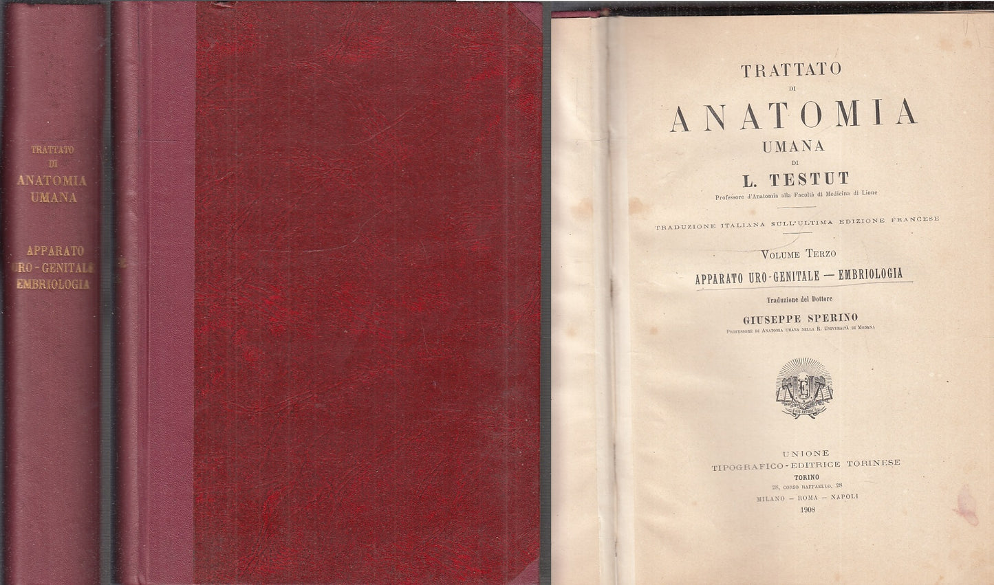 LQ- TRATTATO DI ANATOMIA UMANA VOLUME TERZO - TESTUT - UTET --- 1908 - C - XFS60