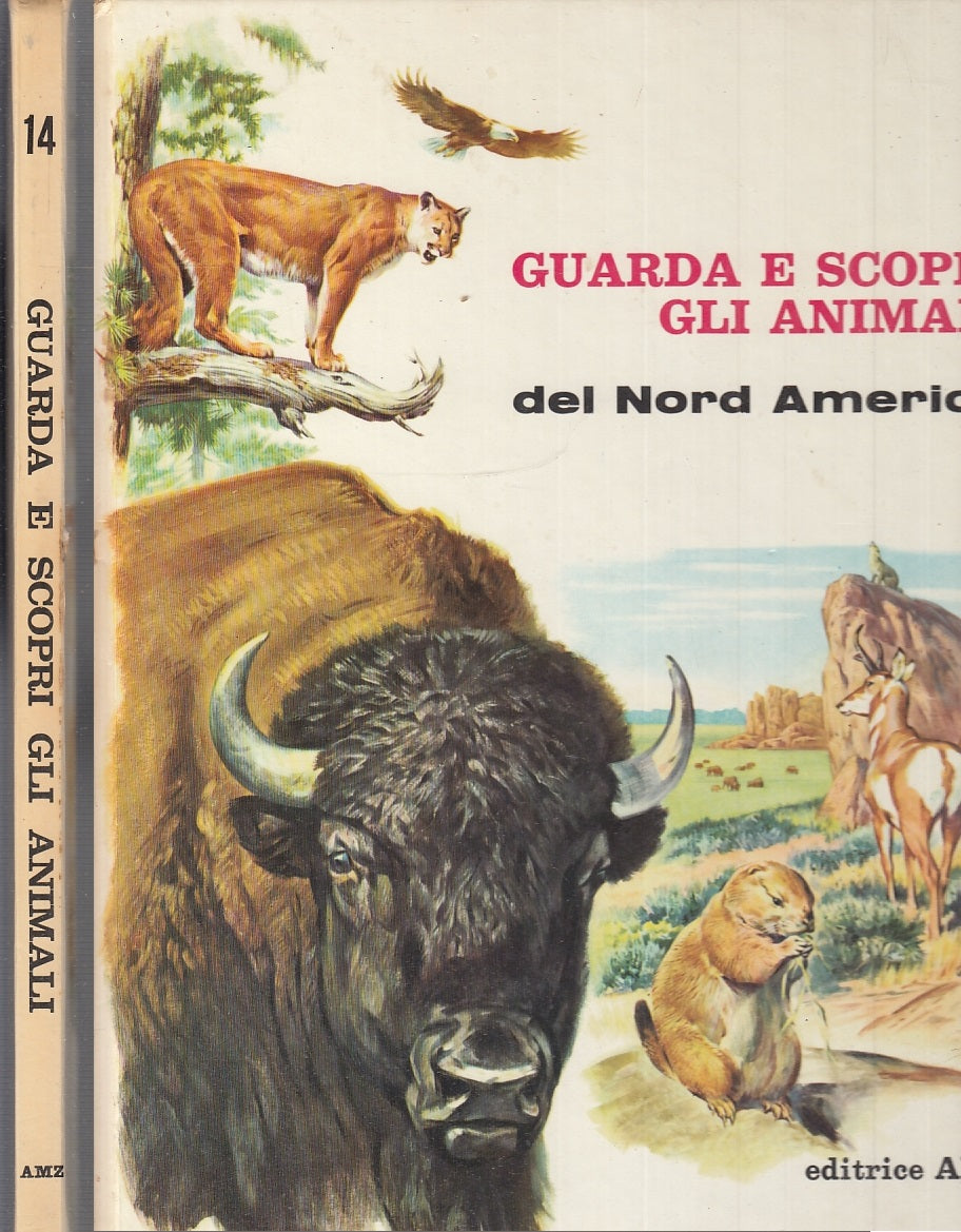 LB- GUARDA E SCOPRI GLI ANIMALI 14 DEL NORD AMERICA -- AMZ --- 1970 - C - XFS60