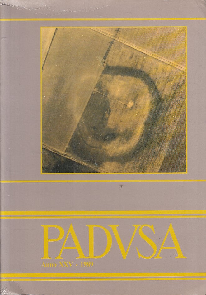 LS- PADUSA ANNO XXV STUDI STORICI ARCHEOLOGICI -- ROVIGO --- 1989 - B - ZFS12