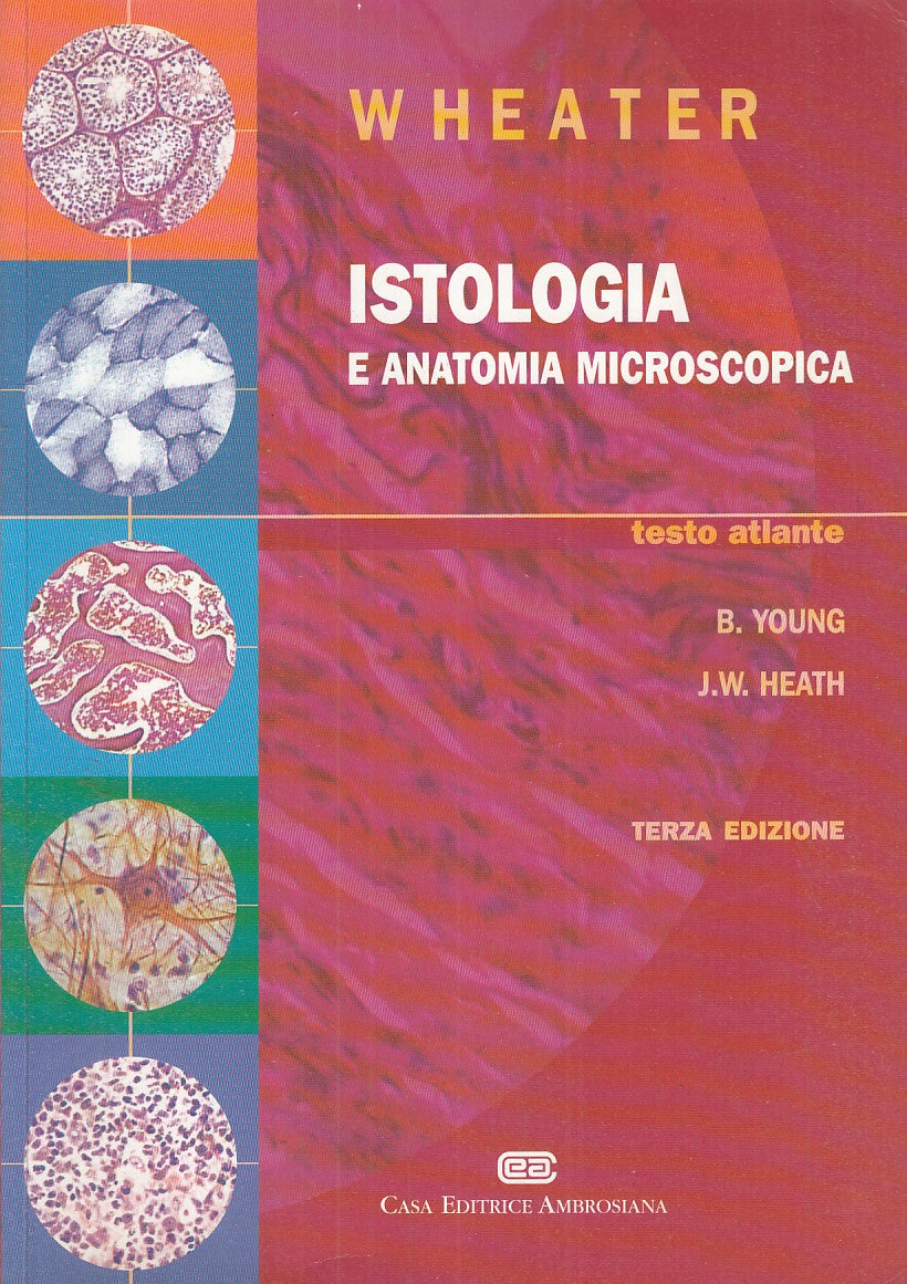 LQ- ISTOLOGIA E ANATOMIA MICROSCOPICA - WHEATER - AMBROSIANA --- 2005- B- ZFS347